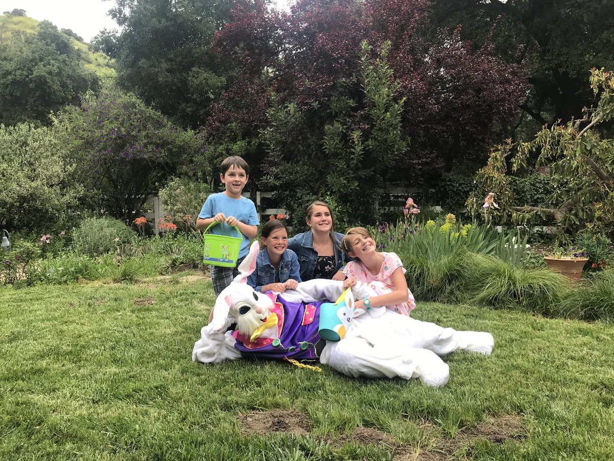 rdweitzman's tweet image. Hoppy Easter!!  @dutrahistory   gofundme.com/dont-stop-reli…