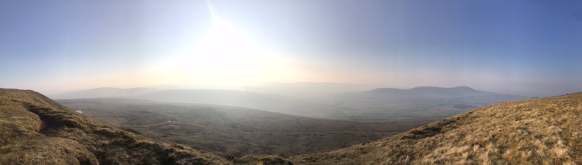 Saira Luffman tweet media