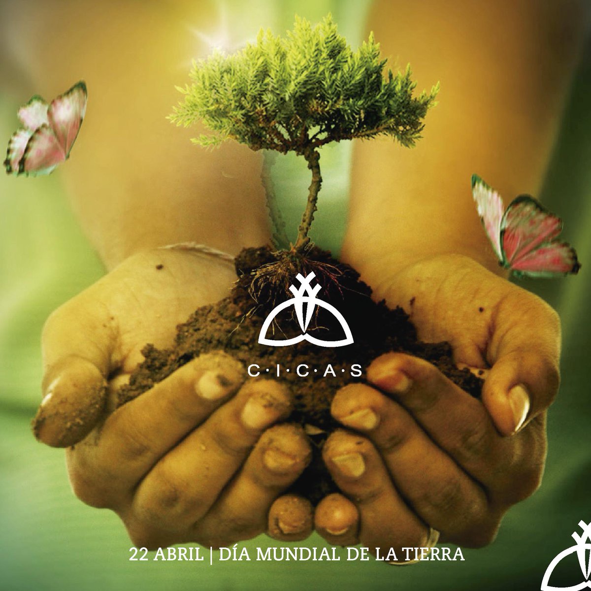 Celebramos el #DíaInternacionaldelaMadreTierra para recordar que el planeta y sus ecosistemas nos dan la vida y el sustento. #MadreTierra #EarthDay #Tabasco #México