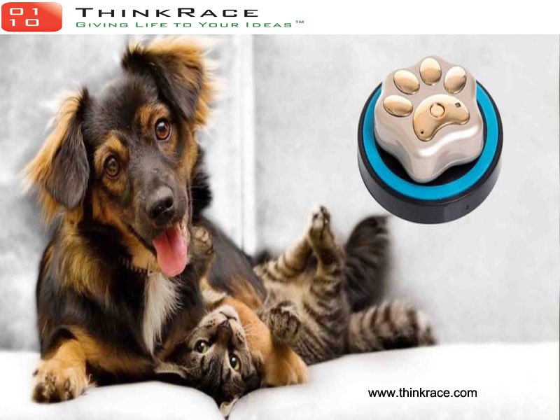 thinkrace123's tweet photo. No more worry about losing your pets, Pet GPS Tracker are the right solution for your four leg animals

Contact us now for Bulk Order and Software and Hardware Customization.

To Know more visit: https://t.co/nJ0xDrTriJ https://t.co/eVmJ2hRyJL