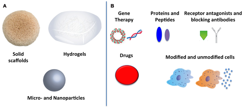 brain_2020's tweet photo. #Biomaterials to reduce inflammation which delivers drug!
To know more about session and tracks Visit https://t.co/5m6mUL0eeH
Hurry up! Avail early bird offer.
Registration ends soon.
#Bioimplants #Drug #Delivery #London #UK #Events @DukeU @TSUSNAPED @QMUL @UoLondon @ucl https://t.co/o1txo4gvGb