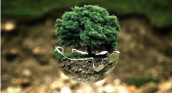 fyarak's tweet photo. Earth Day 1970 was established to raise awareness about environmental issues.

We are committed and focused on sustainable development #SDG2019 

Let’s create a better planet for future generations. 🌍 #EarthDay #climatechange #SDG4 #Education https://t.co/Q6BoDA4lId