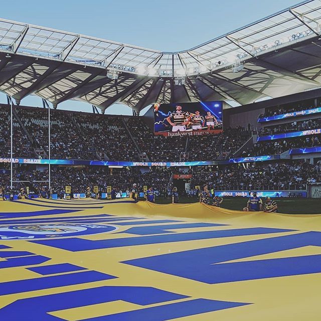 The Swarm Bay tweet media