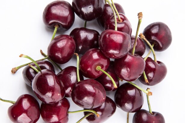 Ветка вишни. Лето черешня солнце. Вишня фон. Вишня шпанка шимская. Гроздь вишни.