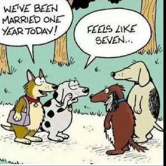 DutchCellDogs's tweet image. 