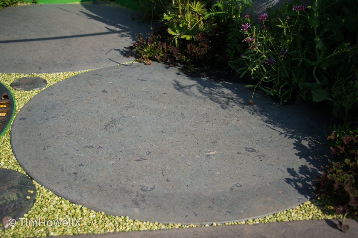 Tim Howell tweet media