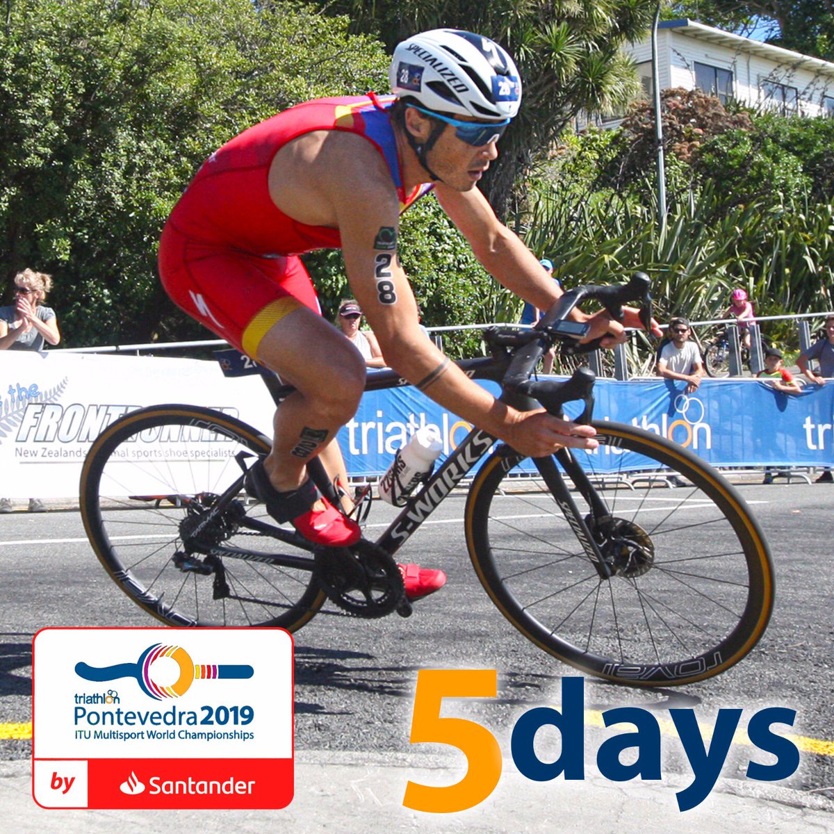 World Triathlon Age-Group tweet media
