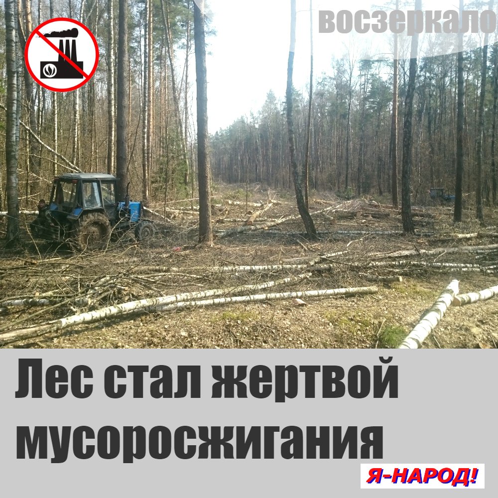 Лес стал жертвой мусоросжигания
 voszerkalo.ru/#!Лес-стал-жер…