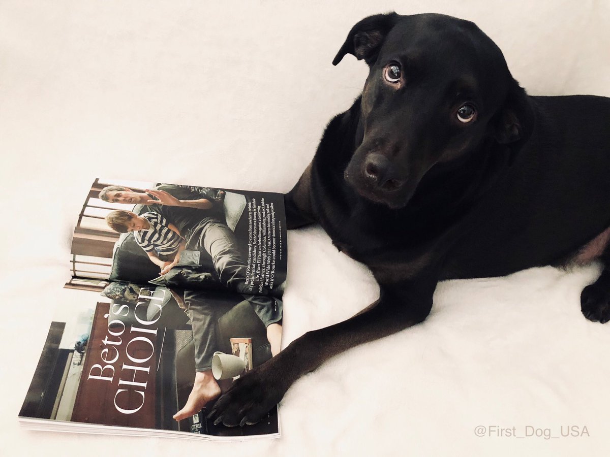 First_Dog_USA's tweet photo. @allymhiester @BetoORourke ๐พ Woof! I donโt look my best on that @VanityFair cover. The angle does not do me justice.. That photo doesnโt capture my true beauty. I look better and fitter in the other photos though, I hope everyone noticed. ๐#ArtemisForFirstDog #BetoForPresident #DOTUS https://t.co/mxtjYpuvrf