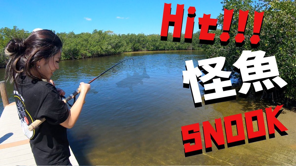 マルコス 釣り名人への道 新しい動画あげたよ 実はサメ 意外にもフロリダで釣りをしたんだ 見てねー W T Co Kueigxu0o4 釣り 釣りガール マルコス Snook Fishing