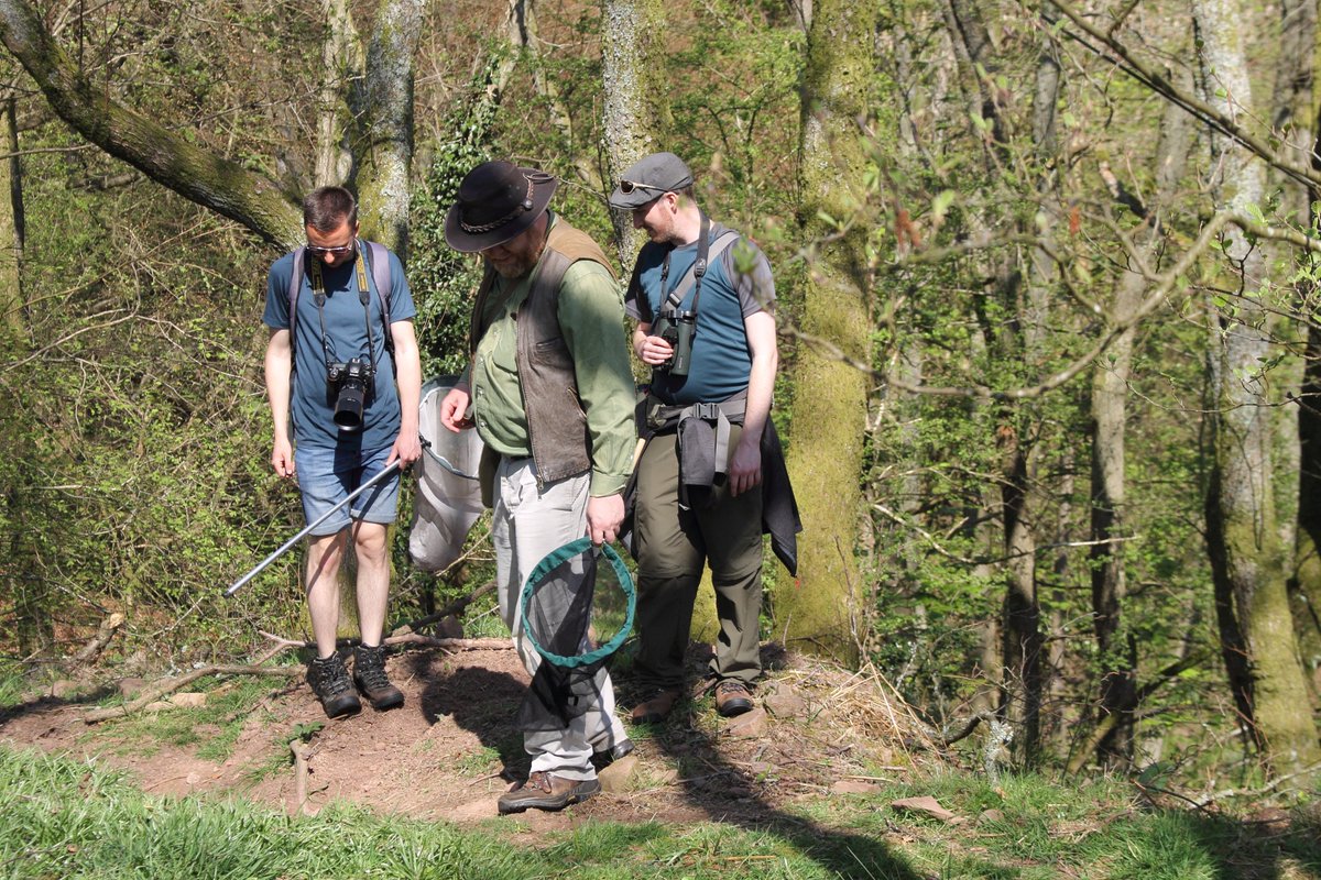 A most enjoyable morning looking for Oil Beetles with @GmusicV @olds_liam and Michael Kilner. The future looks bright with such knowledgable young naturalists. #gwentinverts #gwentnaturalists