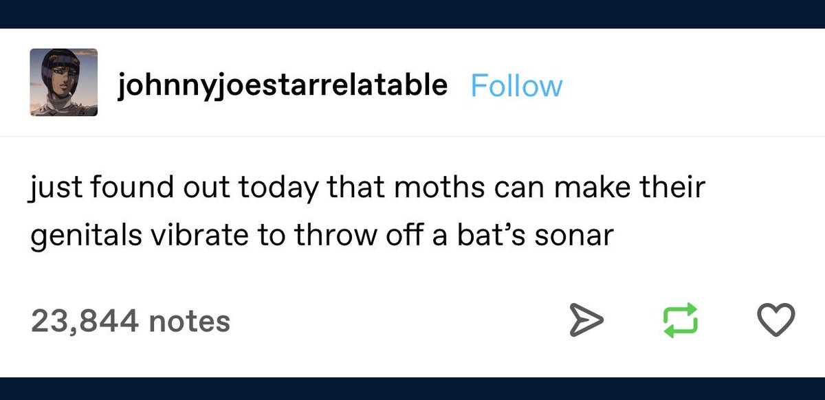 👀 my secret super power <a href="/PrincelyWarrior/">➵ Legolas ➵</a> <a href="/sebastian_hedge/">Sébastien</a>   johnnyjoestarrelatable.tumblr.com/post/184314408…