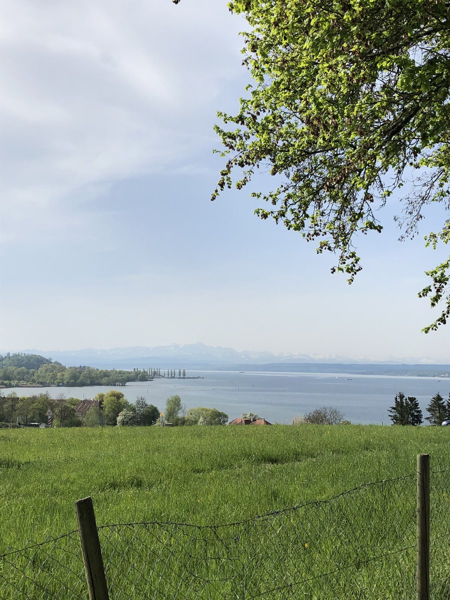 maierst's tweet photo. #DerSee 💚 https://t.co/EdUyPjRtYa