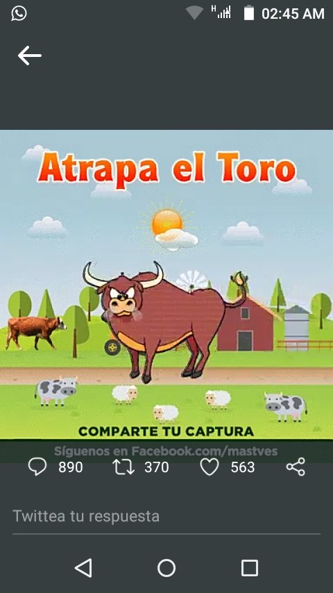 M_kuman6's tweet photo. @rogeliomtz75 Atrapado!! https://t.co/iJewHkYeyz