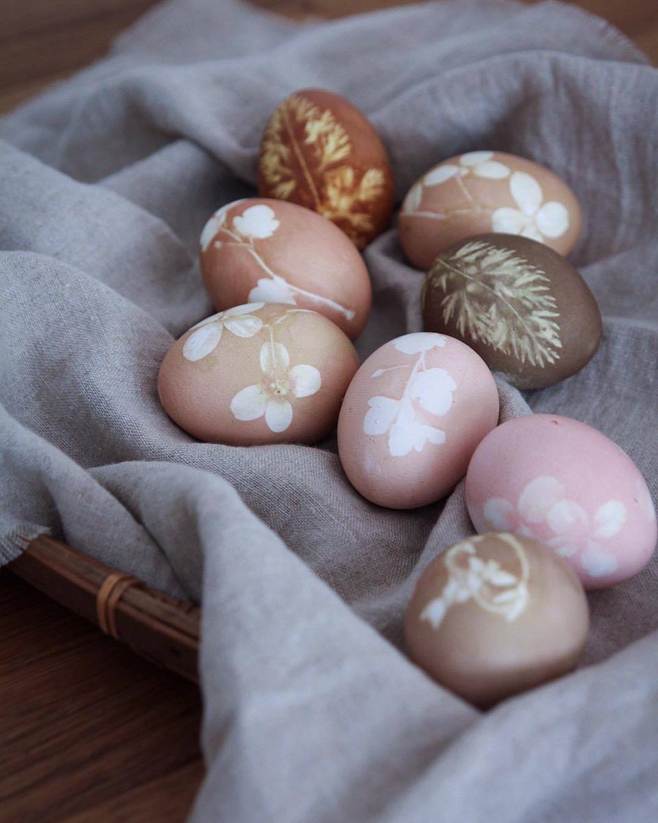 superbimbi's tweet photo. #Buongiorno, buona giornata, e felice #Pasquetta! 🐣🐰 
#EasterMonday https://t.co/PyzeLJ2kZ1