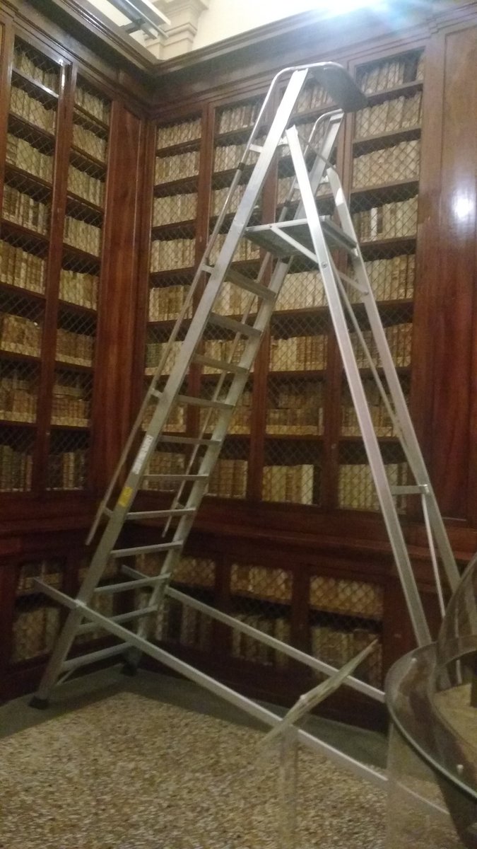 lowri_m_jones's tweet photo. A lovely family of #MuseumLadders @MuseoPaPoggi @MuseumLadders https://t.co/Bn1CZ9KMwy