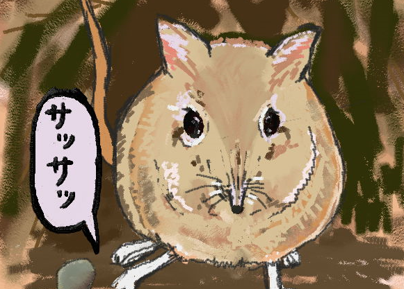 ハネジネズミのtwitterイラスト検索結果