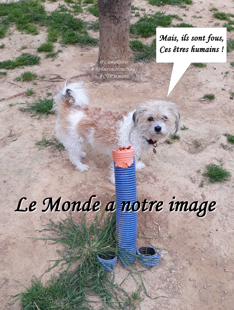 LienaDoris's tweet image. Nous adaptons le monde à la vision que nous avons de nous-mêmes... 
#LeMondeAnotreImage 
#LaPreuveParLExemple #ReDécouvronsNous #CTPMmerci
Leeloo pense que nous sommes fous. A-t-elle raison ? 
cesttoutpourmoimerci.blog4ever.com