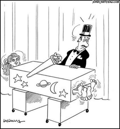 "A magician was working on a Caribbean cruise ship." bit.ly/2Fw6YpU #CruiseShip #Cabaret #Parrot