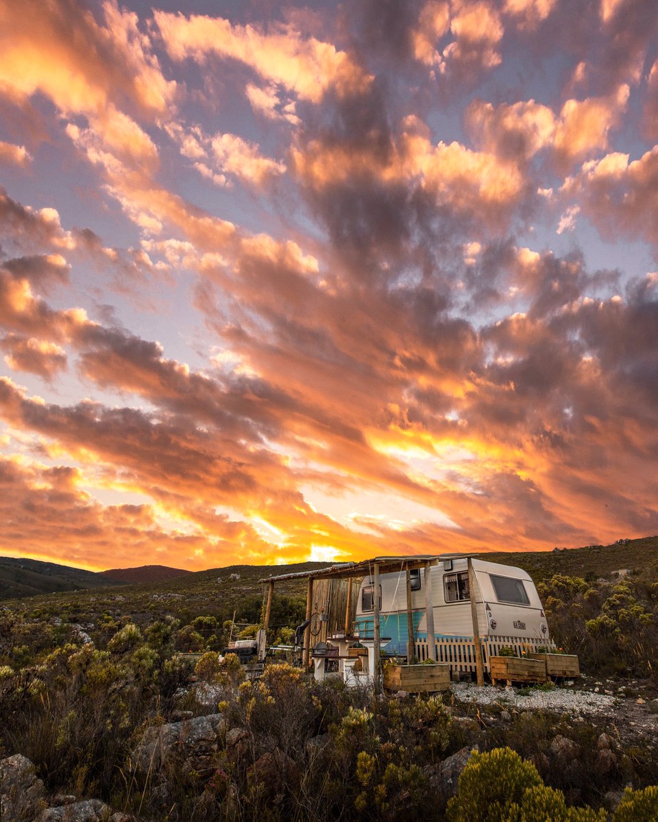 Kyle Mijlof tweet media