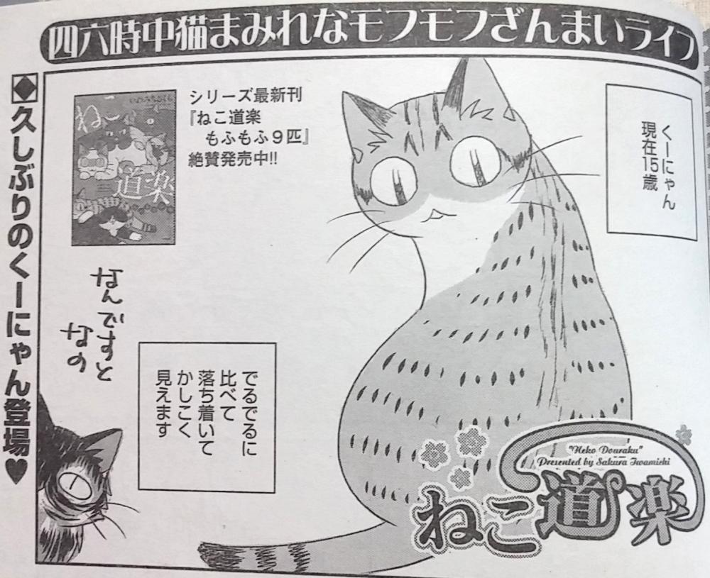 ぶんか社のまんが誌を応援するアカウント على تويتر いわみちさくら先生 Chipetanの ねこ道楽 猫飼い 特に多頭飼いならばあるある必至 の猫エッセイ 最新コミックス発売中 ぶんか社のまんが誌を応援するアカウント على تويتر いわみちさくら先生 Chipetanの ねこ道楽 猫飼い 特に多頭飼いならばあるある必至 の猫エッセイ 最新コミックス発売中