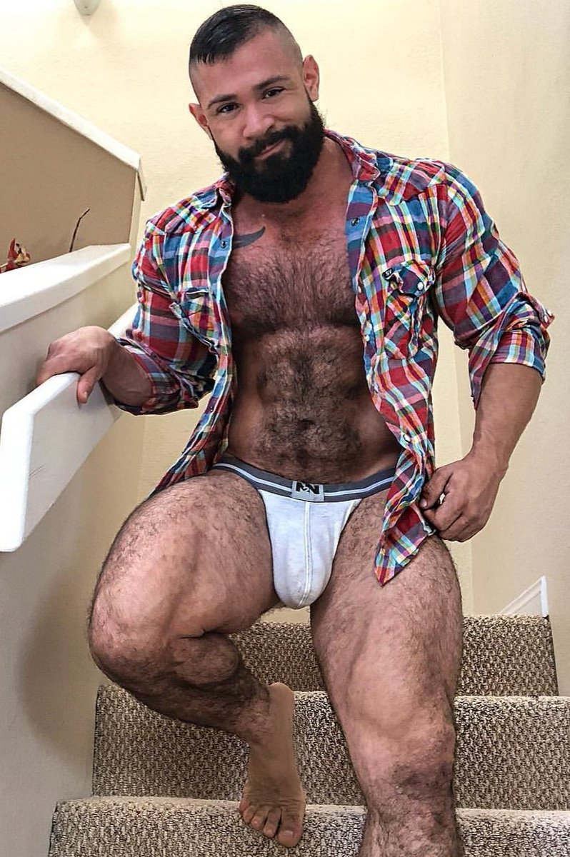 Yahoo directory hairy bears