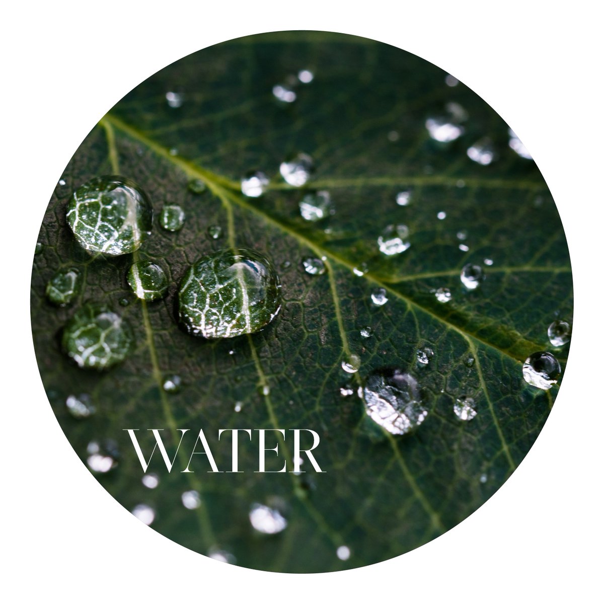 The_Lotus_Spa's tweet photo. Lotus Spa #fact:
Water is yin and yang – when body is submerged in water, it offers true balance.
#ThePowerΟfWater @ElGreco_Resort #lotusspa #elgrecoresort #kdgroup #kdhotels #santorini #wellness #resort #hotel #water #explore #luxury #LuxuryTravel #LuxuryVibes #Influencer #spa https://t.co/VQqsf4Fkym