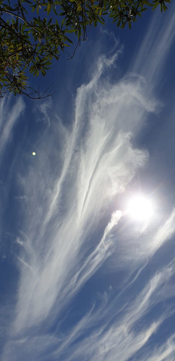 CherScheff's tweet photo. Wonderful clouds this afternoon #MilsonPoint #Sydneyweather #Mondaylongweekend https://t.co/Bk9kslZ64J
