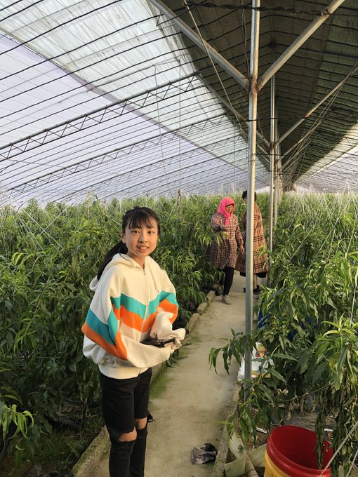 Twitterのコスプレ画像30