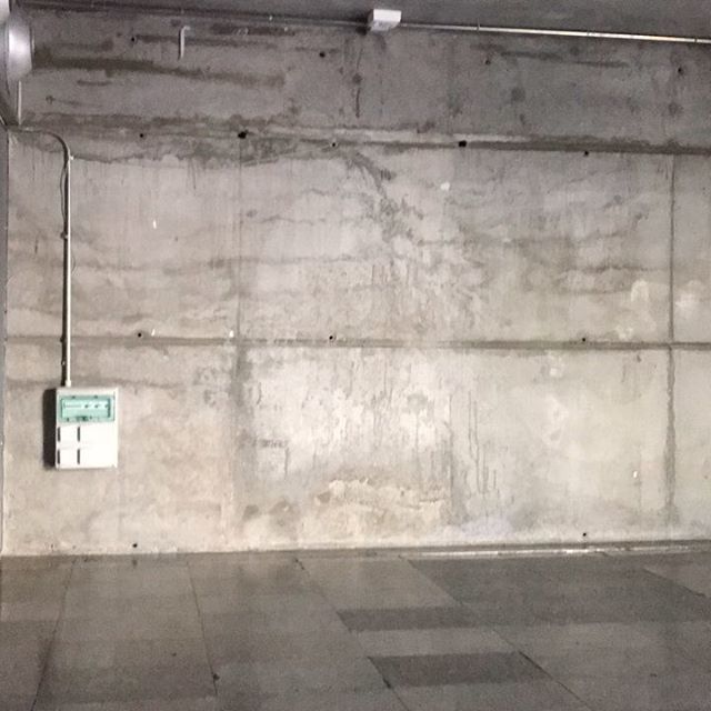 🔋 cargadas a tope !!
Buenos días y feliz lunes !! A currar 🤩.
•
•
•
#laschicasdelmerchan bit.ly/2Pnuxav