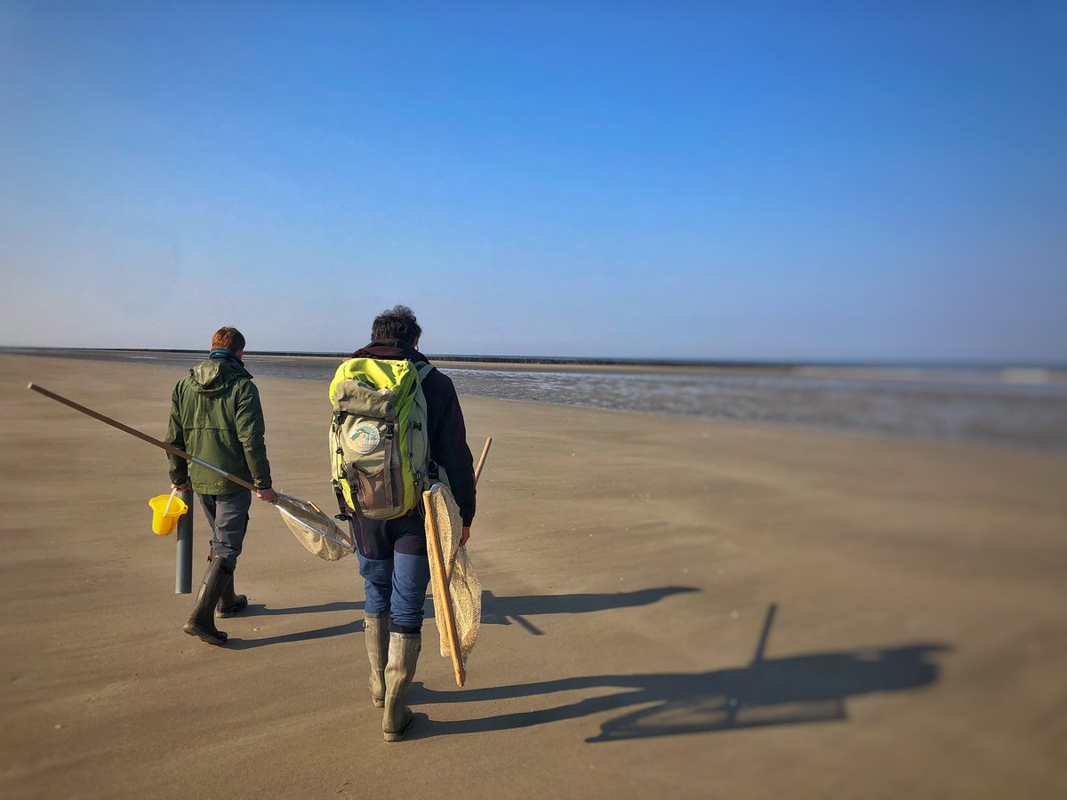 otquendplage's tweet photo. Quend-Plage-Les-Pins 🐚 #EarthDay #JourdelaTerre #LundiDePaques #MagnifiqueFrance  #MondayMotivation https://t.co/IANZ11Ixg1