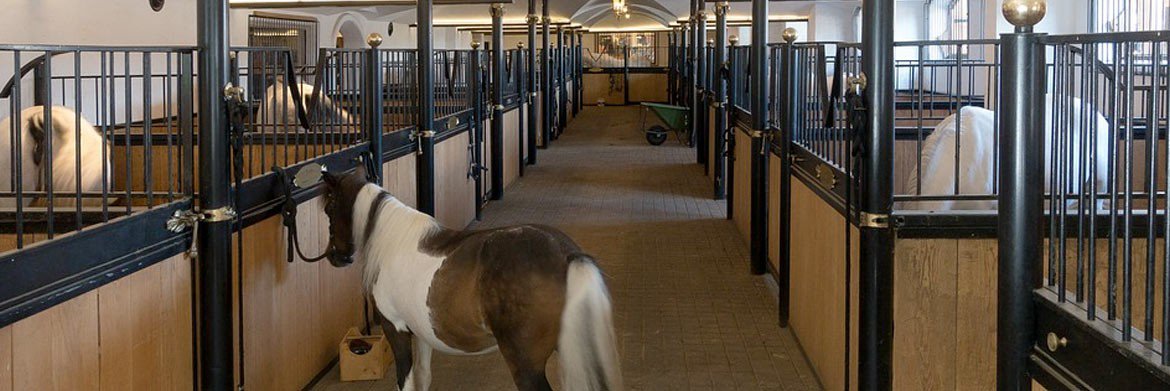 AlexDMarketer's tweet photo. [Blog]How to Keep a Well Maintained Horse Stable @LFFStore
https://t.co/j9a7ocLcNs
#MaintainedHorseStable #horsestabletips #stablecare #stablecaremaintenance #blog https://t.co/KhEbeoXbbG