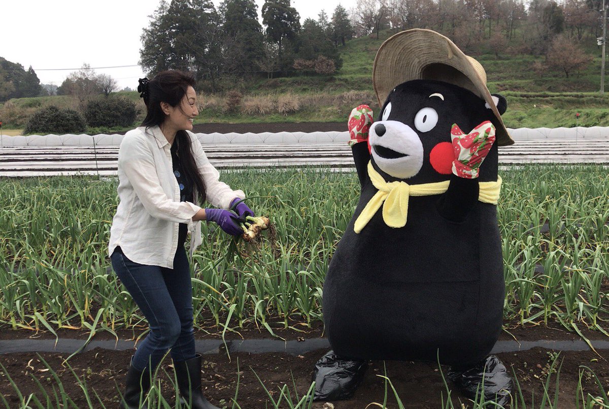 くまモン 公式 お知らせ くまモンtv 32 井上晴美 くまモン のんびり農業体験 が今朝配信されたモン お野菜の収穫から料理まで一緒に体験させてもろたモン ボクの腕前を早速チェッくましてはいよ T Co 4ehspfb2g1 T Co