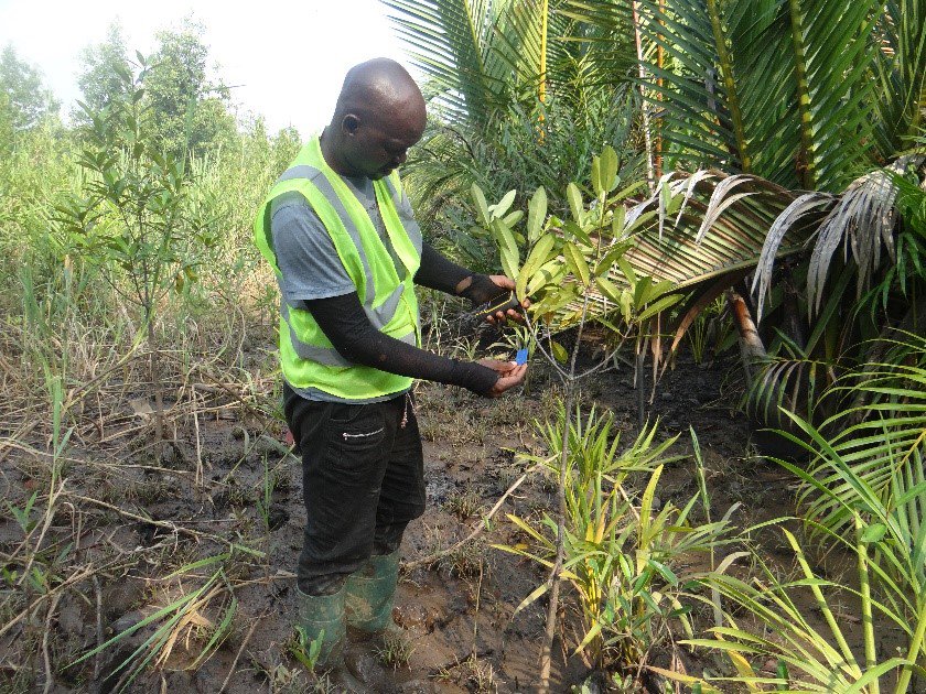 jmn_consultant's tweet image. #journée_de_la_Terre #environnement #changement_climatique , JMN Consultant œuvre pour sensibiliser  tous ses partenaires et ses parties prenantes sur les enjeux de préservation de l’environnement et le développement de l’énergie renouvelable pour le bien-être de la planète.