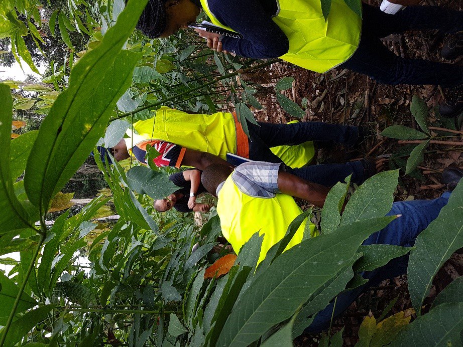 jmn_consultant's tweet image. #journée_de_la_Terre #environnement #changement_climatique , JMN Consultant œuvre pour sensibiliser  tous ses partenaires et ses parties prenantes sur les enjeux de préservation de l’environnement et le développement de l’énergie renouvelable pour le bien-être de la planète.