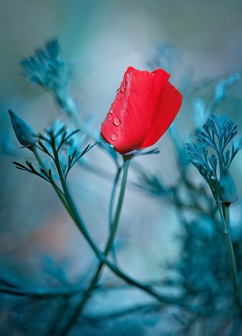 idowumartins5's tweet image. “Man’s mind, once stretched by new ideas, never regains its original dimensions.” -  Oliver Wendell Holmes

Growth today is an investment for tomorrow.  

#LifeApplication #Growth