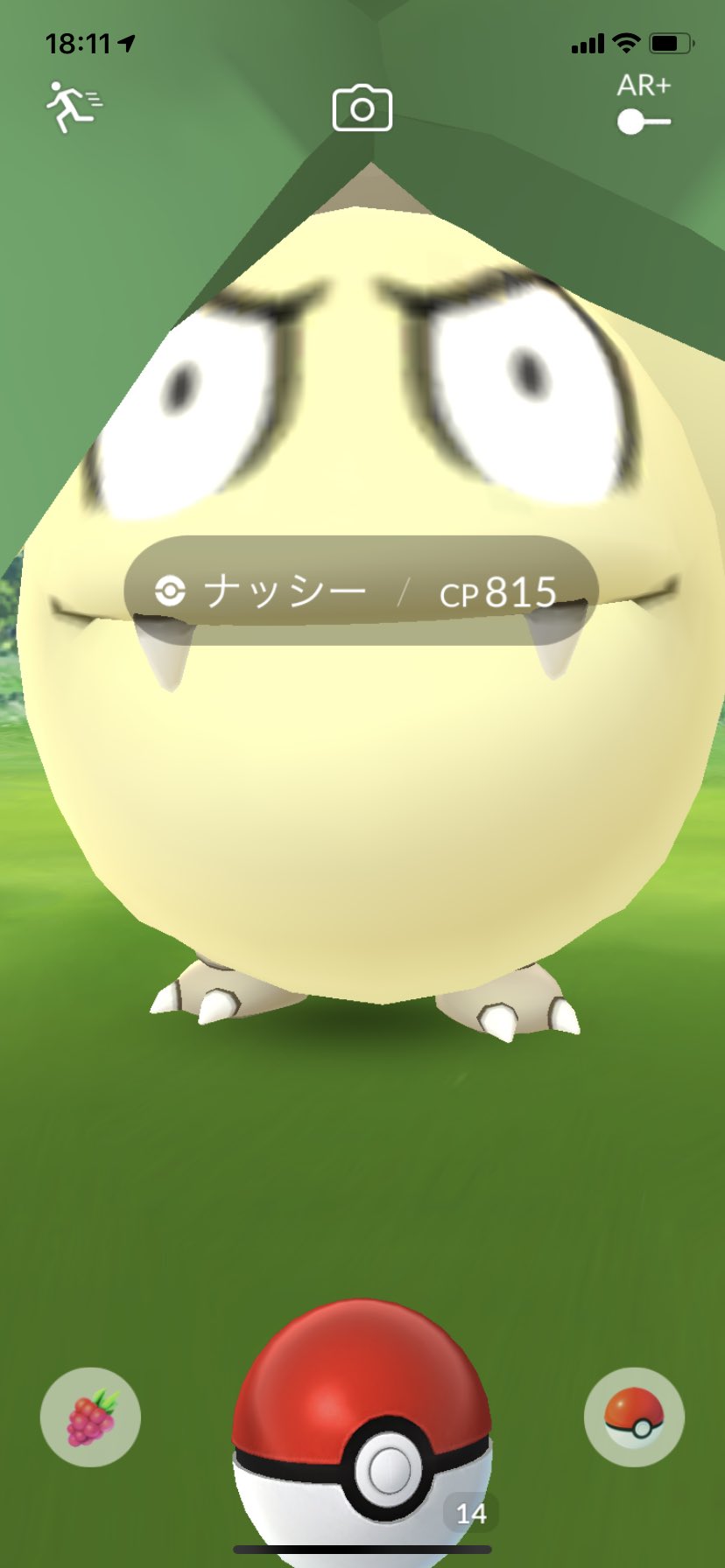 山口智広 いや怖いって笑笑 ポケモンgo アローラナッシー T Co He7jl4jacr Twitter