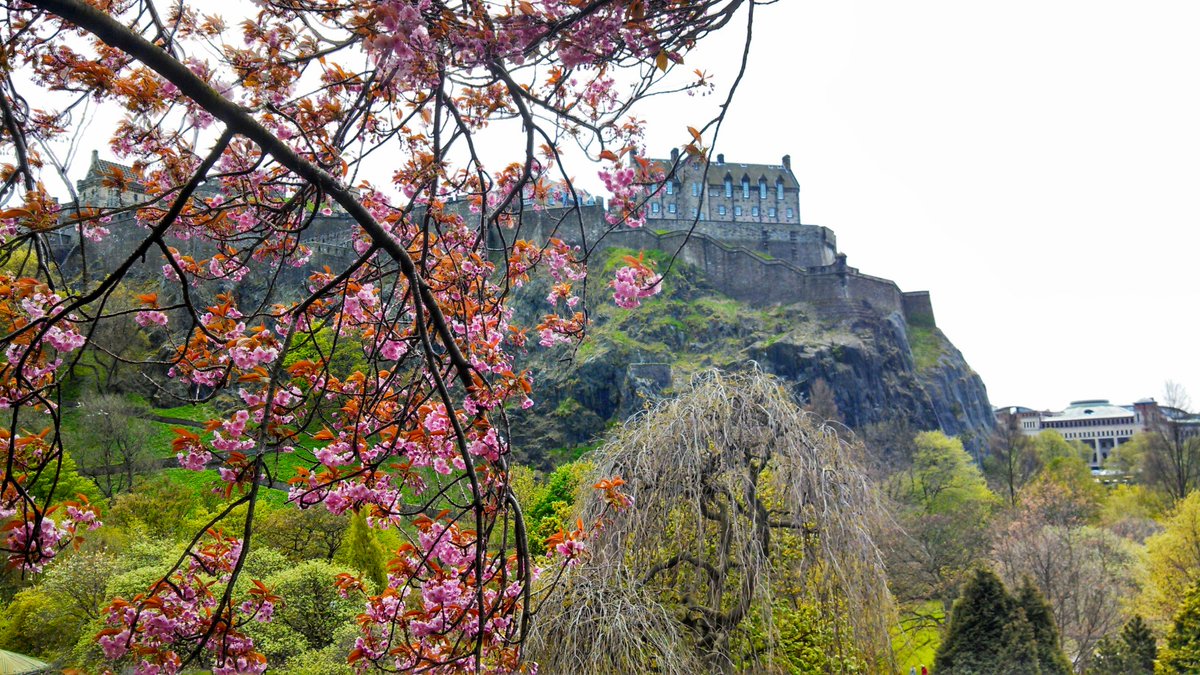 GEOVanderbilt's tweet photo. #picoftheday - "Edinburgh Castle in Springtime" by Jamie Garden. Jamie spent a semester studying abroad at the University of #Edinburgh in #Scotland through Institute for Study Abroad. #anchordownabroad #studyabroad #wherewillyougo @StudyAbroad_SC https://t.co/0EuKrrCk4p
