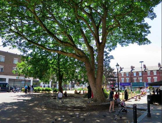 completestreets's tweet photo. Trees are a great investment for cities. "For every dollar invested in planting [trees], cities see an average $2.25 return on their investment each year." #EarthDay2019 https://t.co/o5l8BoNQ5p