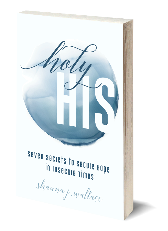ShaunaJWallace's tweet photo. "If Jesus is not our treasure, we will not find pleasure in Him or doing what He says, including the self-denying, self-crucifying fruitfulness and faithfulness of setting an example of humility, selflessness, and generosity like Nehemiah." #HolyHisBibleStudy #comingsoontoAmazon https://t.co/U7fmmQwQKf