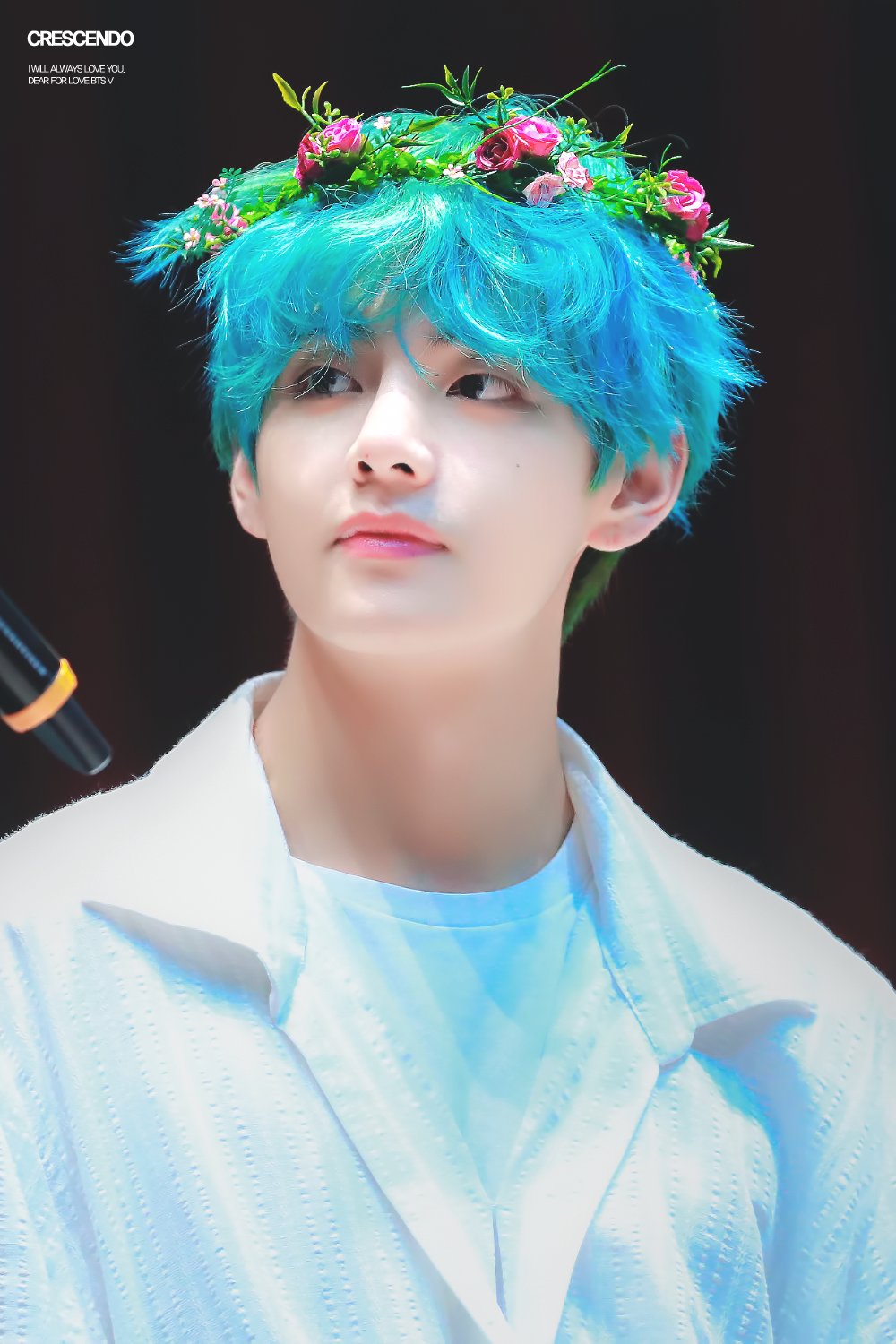 bts v figure