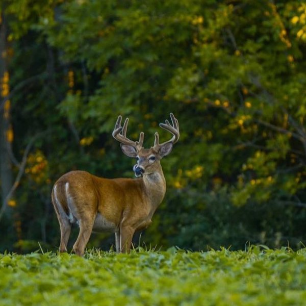 FieldSupply on Twitter "Who’s ready to scope out next season's 10