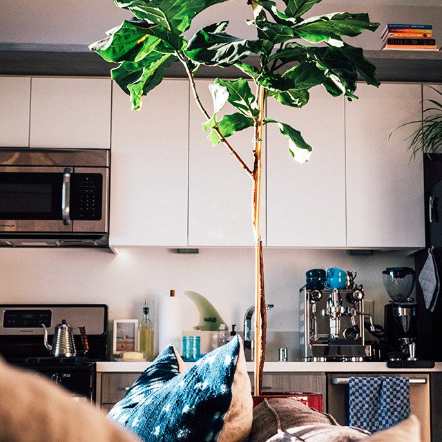 LondonDrugs's tweet photo. 🌱Last day! 🌱Purchase any qualifying #SeventhGeneration product using your #LDExtras member ID to get automatically entered for a chance to win a small appliance prize pack valued at $2200! Clean house, clean the planet: https://t.co/zrw052b6bv #EarthMonth #SpringCleaning https://t.co/GcSOBqZ0Wi