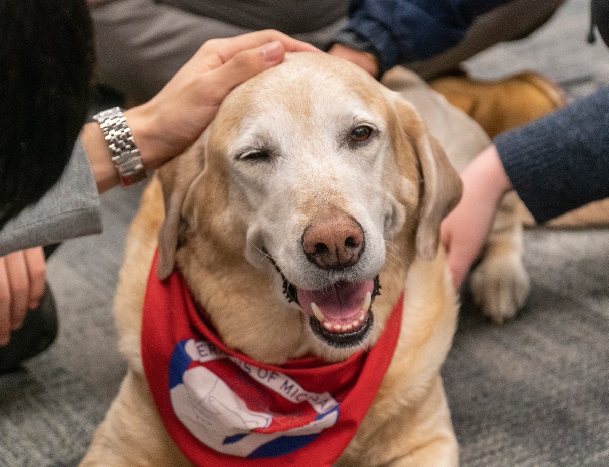 TONIGHT: Visit the Shapiro Library and spend time with therapy dogs courtesy of Therapaws of Michigan! myumi.ch/JyEWM #LibLife
