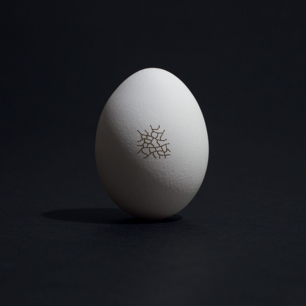 Cocotte Collection : Motif number 2.
Combining the delicacy and fragility of eggshell to the softness of genuine cow leather.

#lucasdestael #undostrial #easter