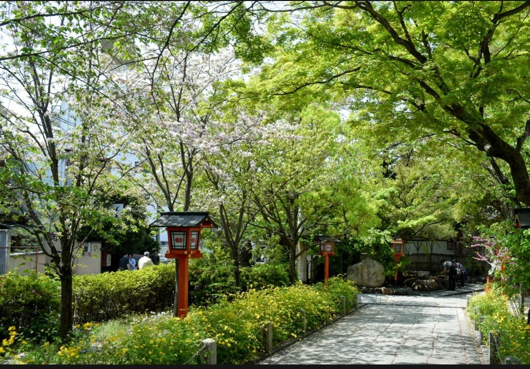 MiYuiitan's tweet photo. 京都に行ってきましたΣp📷ω･´)

#京都
#金閣寺
#渡月橋
#写真好きな人と繋がりたい
#ファインダー越しの私の世界 https://t.co/FxvF35fV4D