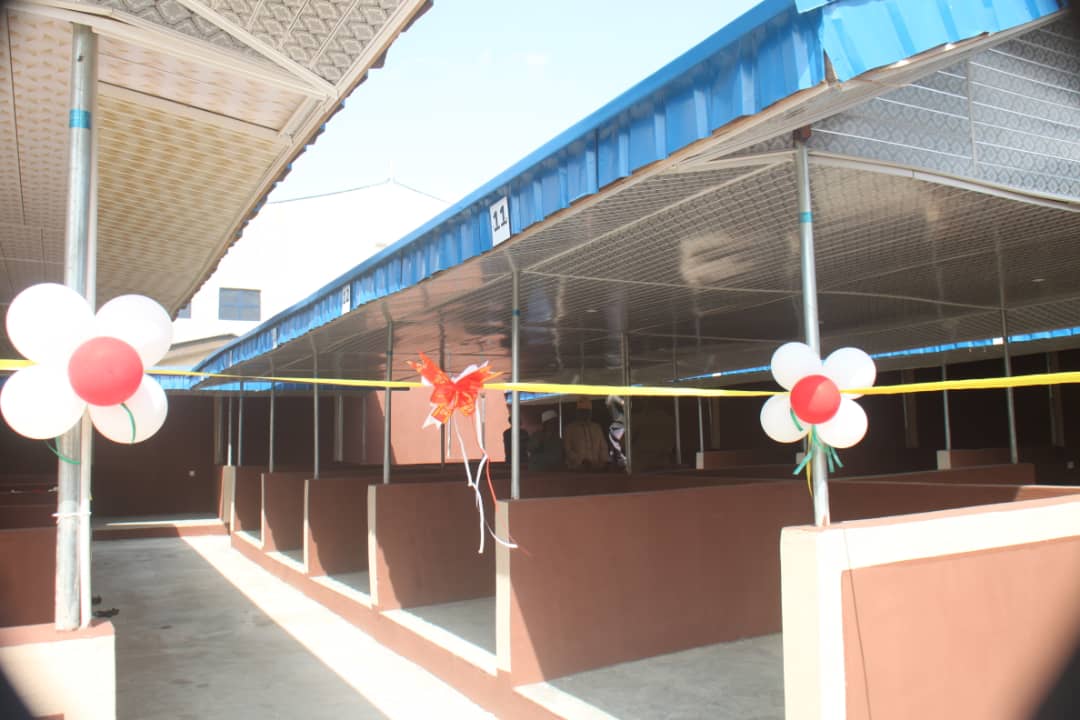 isolo LCDA tweet media