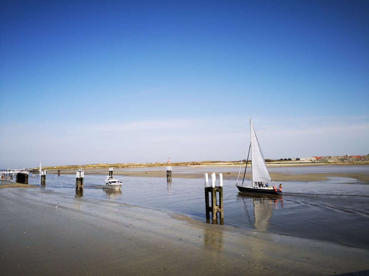 BlogAllantVers's tweet image. Enfin une première escapade à trois et sous le soleil 🌞🌞🌞
On débute par la côte belge, avant de prochaines aventures !