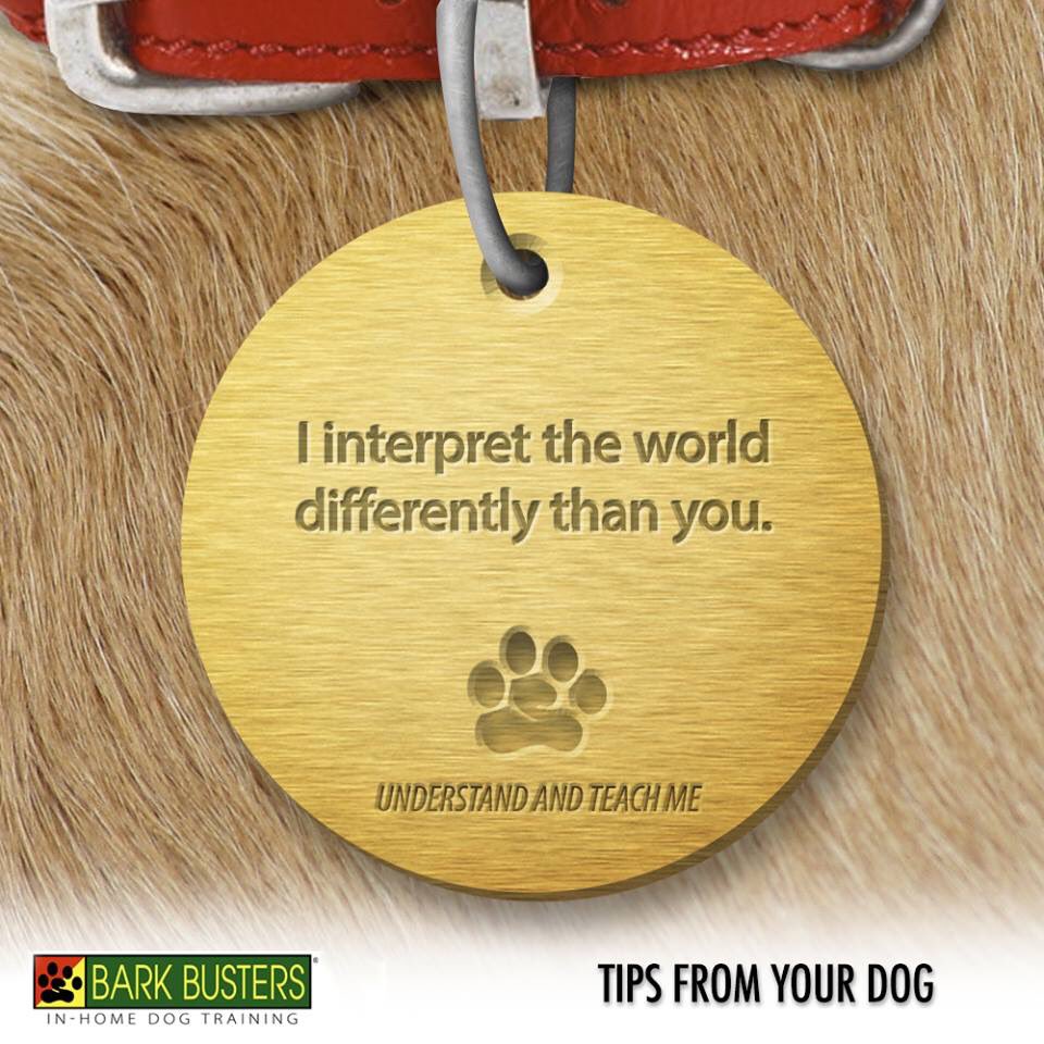 BarkBustersGA's tweet photo. Learn to #speakdog
Call ▶️ (877) 500-BARK
#homedogtraining #GoodMorningATL #MondayMotivaton https://t.co/uSiiDJwCUh
