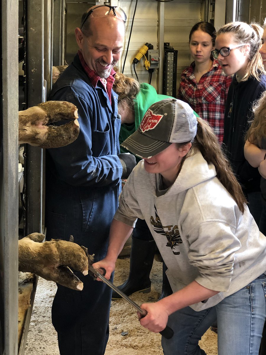 AtiDairy's tweet photo. The last lab of the year was another great time learning about hoof trimming.  Big thanks to Alan Schlabach for sharing his expertise with us. https://t.co/tlgeLRgmoW